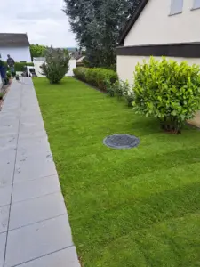 valkov-gartenbau-galabau-bad-wimpfen-Rollrasen (5)